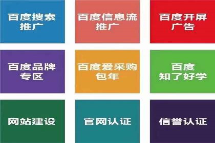 某行业SEM投放效果显著案例分享